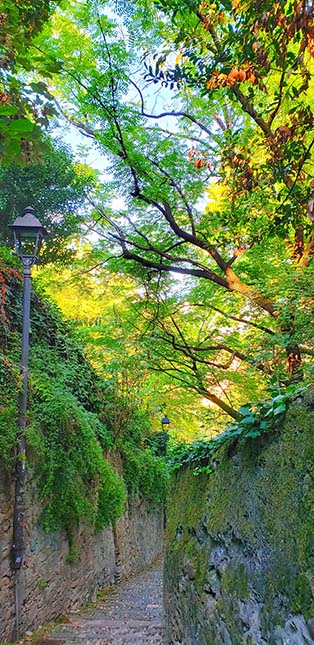 Stone path lined with trees in Bergamo, Italy.